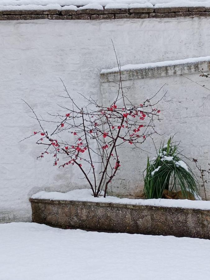 Trullo Amicizia Villa Alberobello Exterior foto